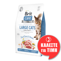 BRIT CARE ΓΑΤΑΣ GRAIN FREE LARGE CAT